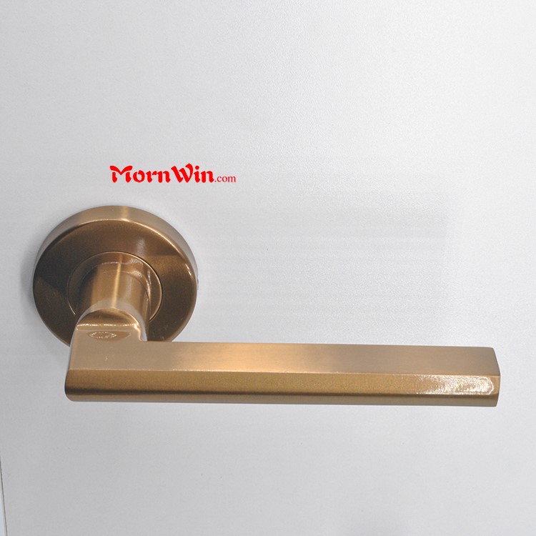 Top quality Solid stainless steel Antique Brass door lever handle on rose rosette